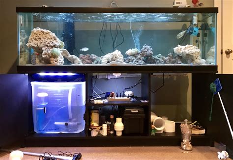 125 gallon aquarium filter